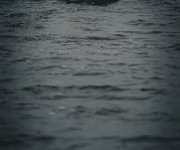 dsc07623